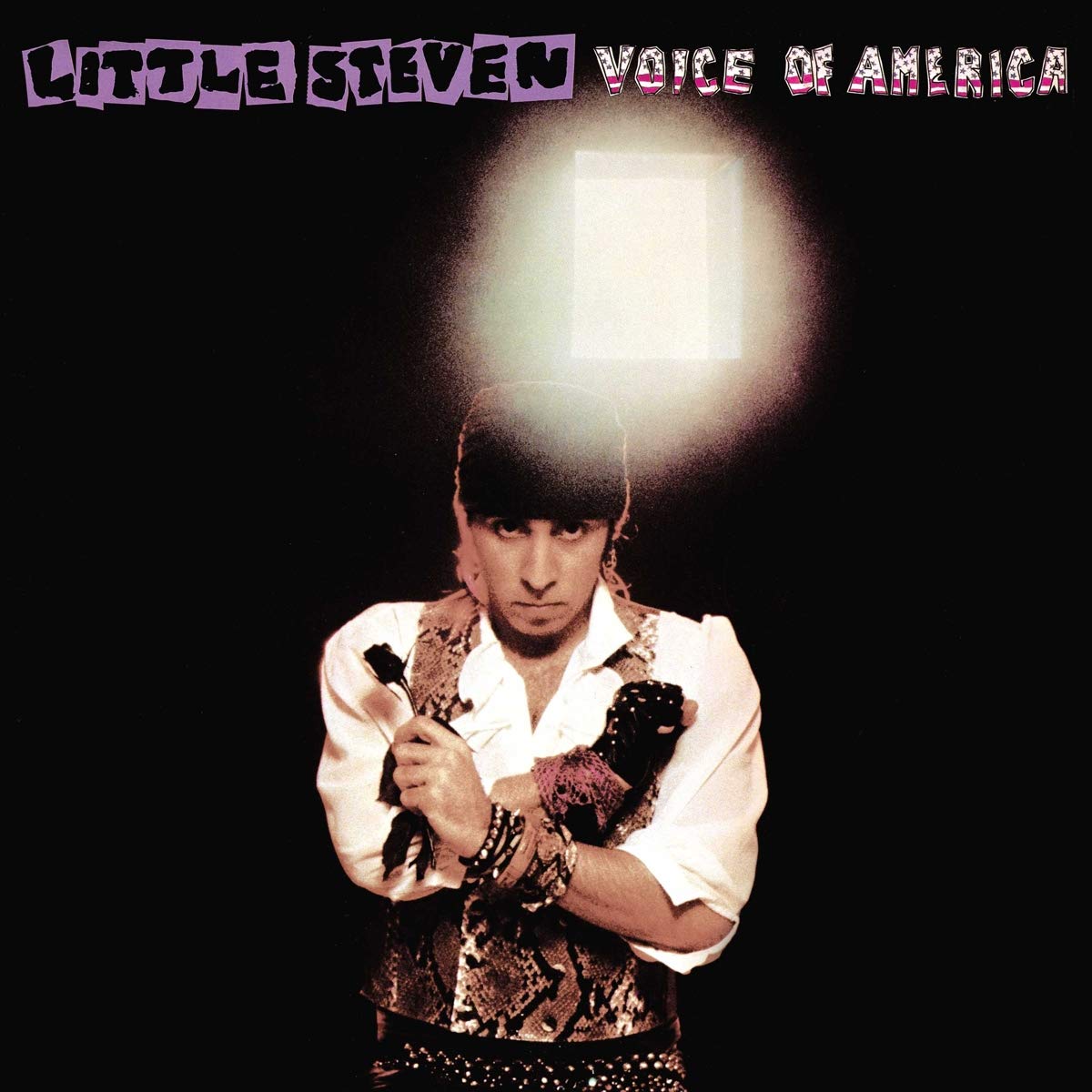 LITTLE STEVEN - Voice Of America