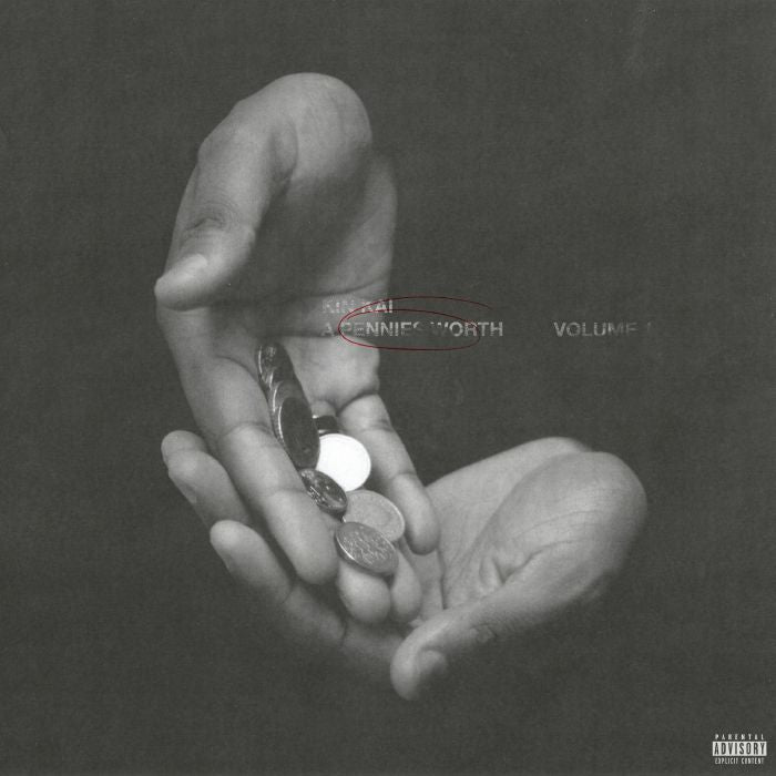 KINKAI - A Pennies Worth
