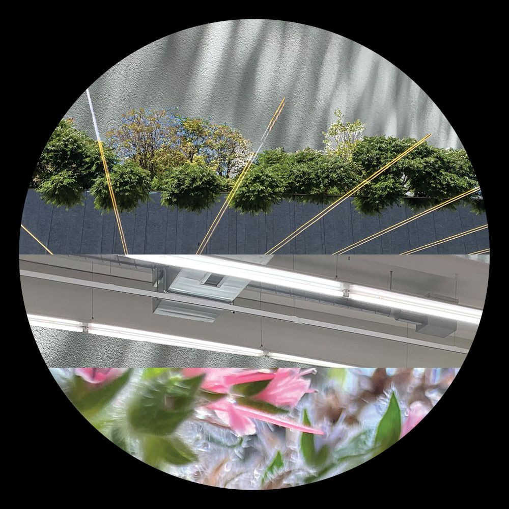 Steve Mill - Love Attack EP