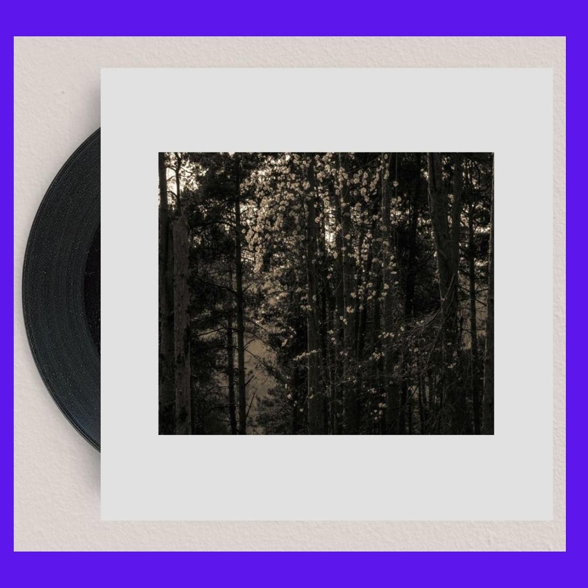 Francois Dillinger remix AUX88 / Squaric / Detroit's Filthiest - Icosahedrone