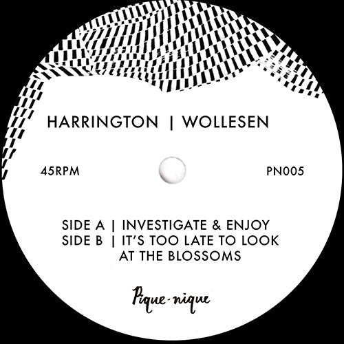 Dave Harrington / Kenny Wollesen - Investigate & Enjoy