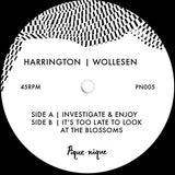 Dave Harrington / Kenny Wollesen - Investigate & Enjoy
