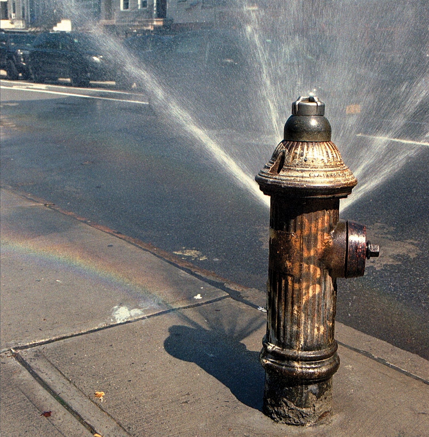 Dominic Coppola & Angelo Harmsworth – Pavonine