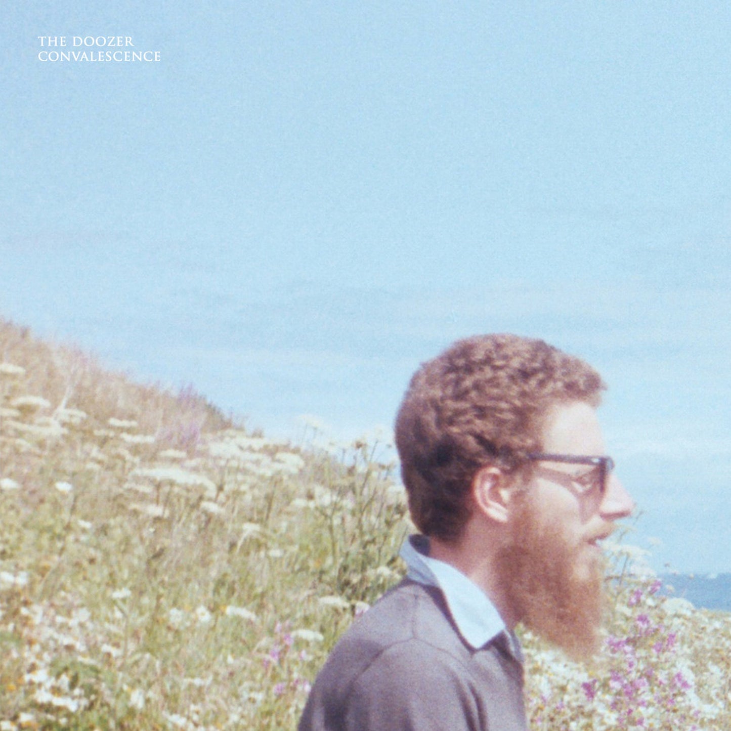 The Doozer – Convalescence