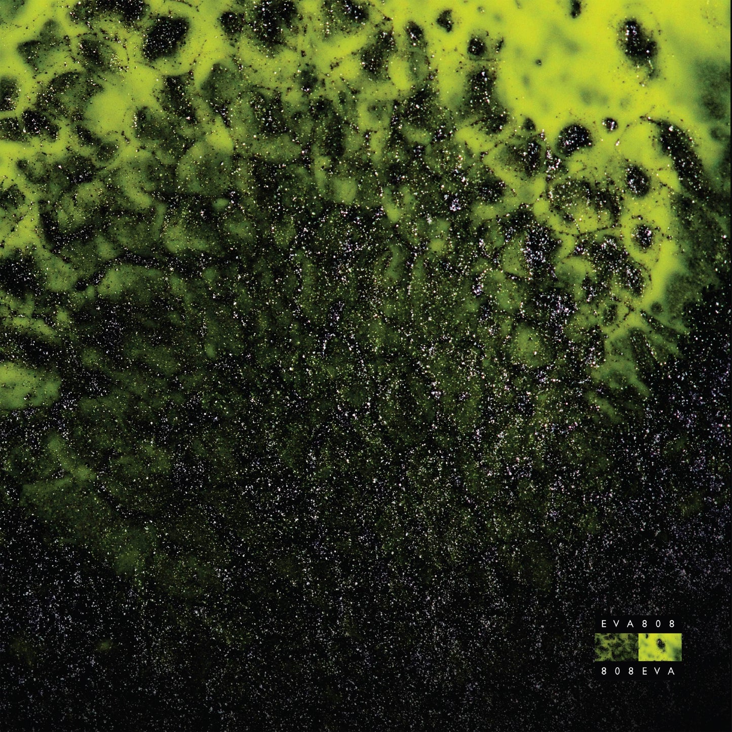 EVA808 - Sultry Venom (ONE PER PERSON)