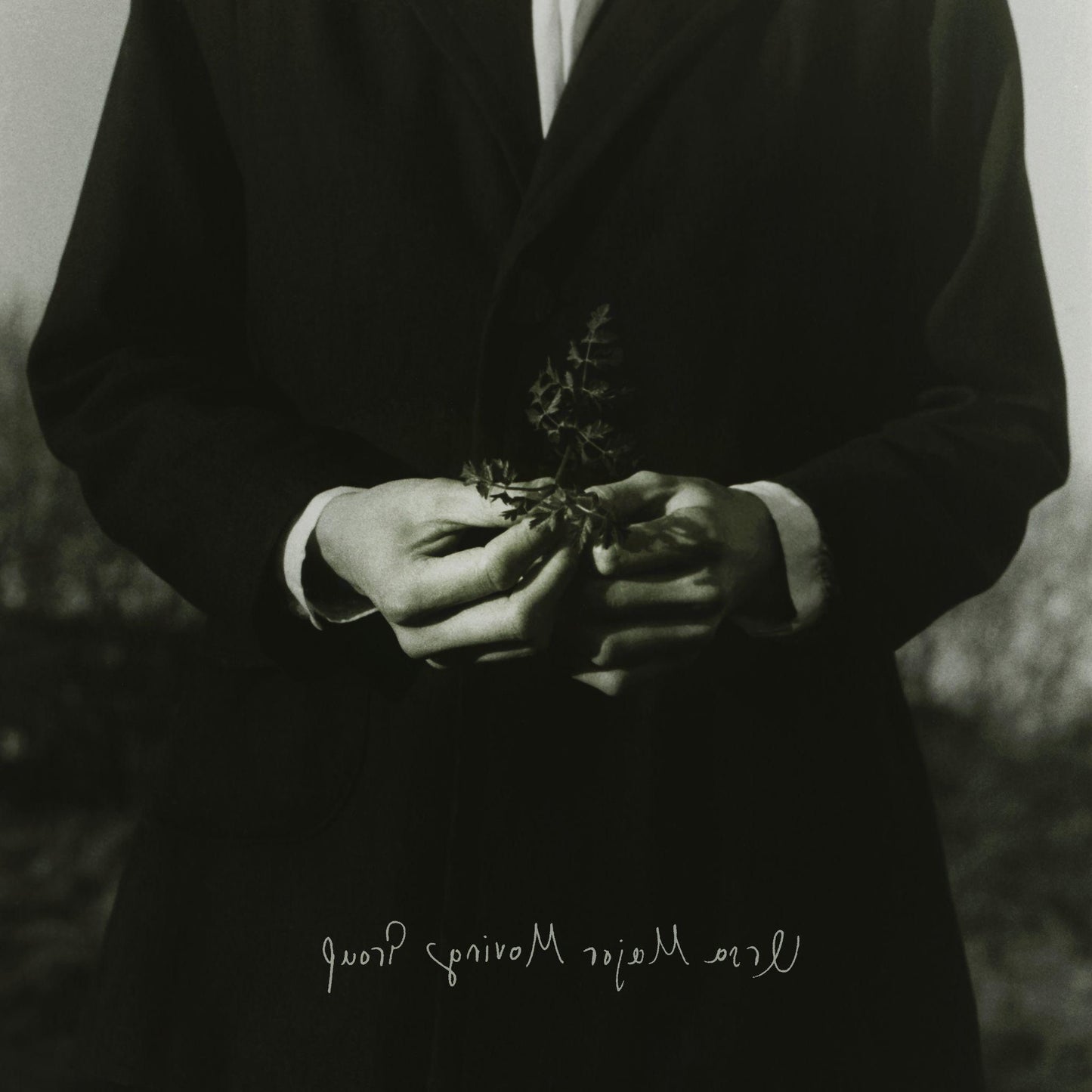 Ursa Major Moving Group - Ursa Major Moving Group