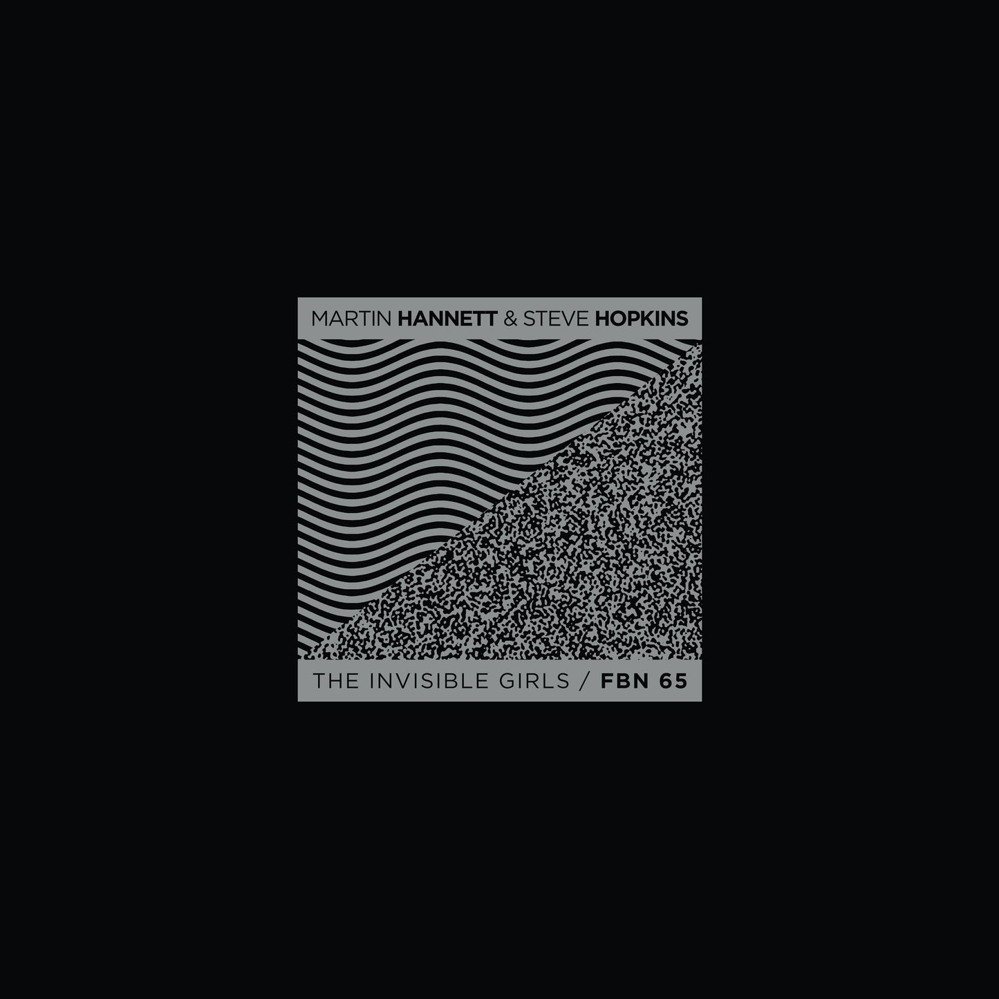 MARTIN HANNETT & STEVE HOPKINS - THE INVISIBLE GIRLS