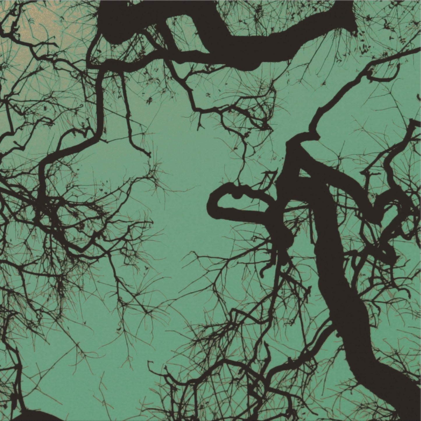 FÖllakzoid – FÖllakzoid