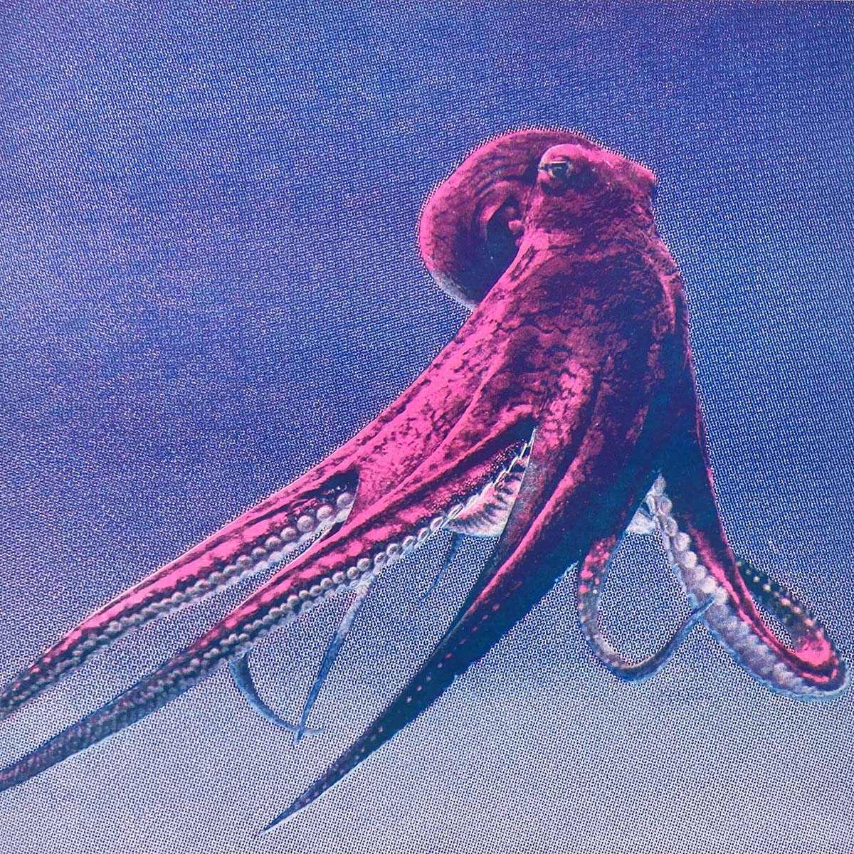 Maastricht Research - Idle Animation