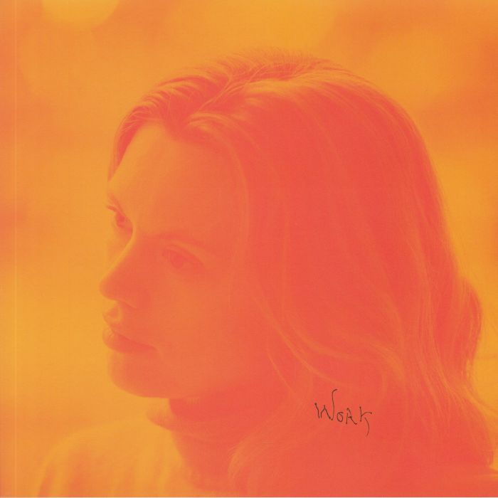 Hanne Lippard - Work