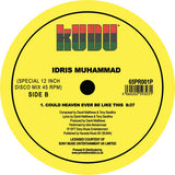 Idris Muhammad - Could Heaven Ever Be Like This (Late Nite Tuff Guy Remix)