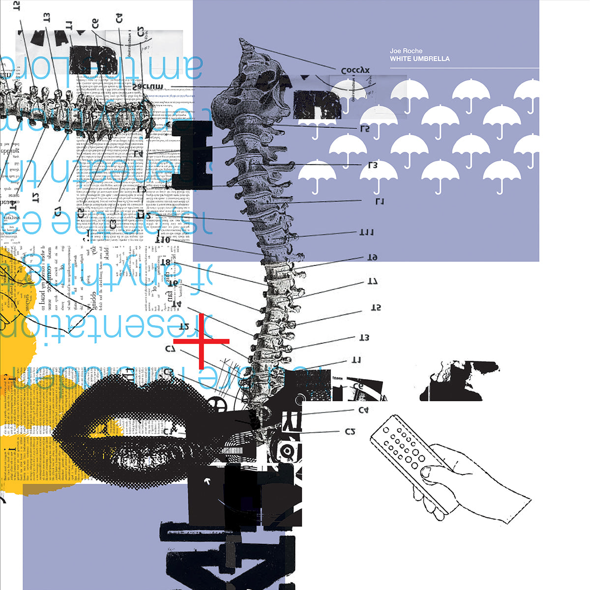 Joe Roche - White Umbrella