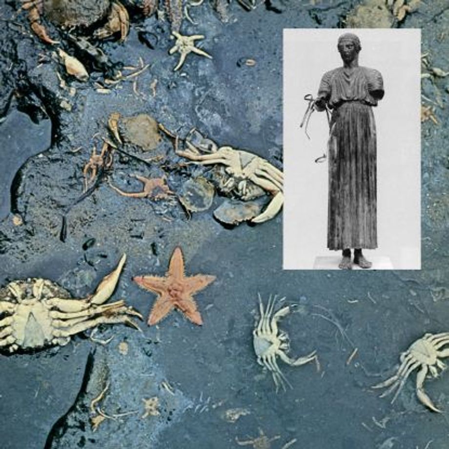 Koehler - Oblivious Pool