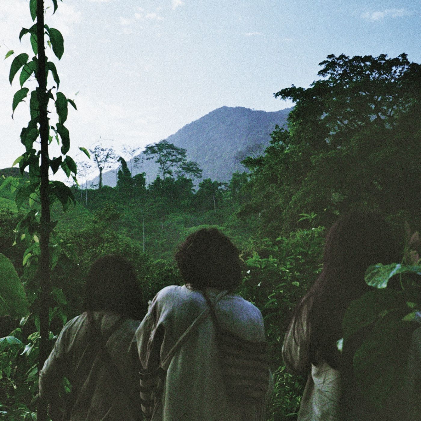 Lion's Drums - Kagabas