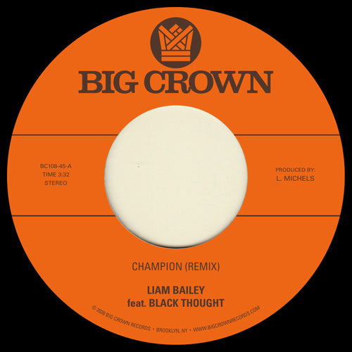 Liam Bailey Champion (Remix) feat Black Thought - Ugly Truth (Remix) feat Lee "Scratch" Perry
