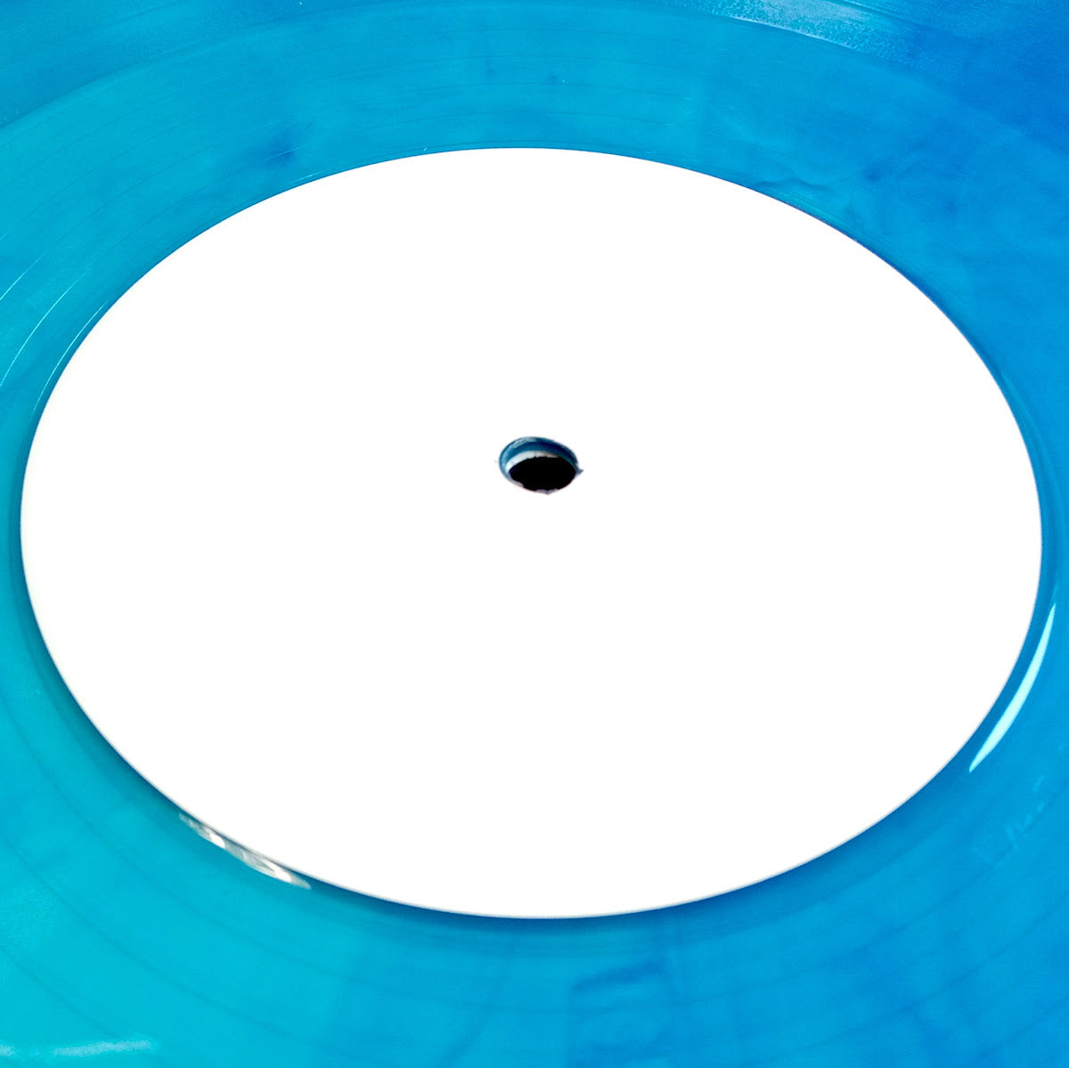 MORPHOLOGY - QUALIA (1 per person)