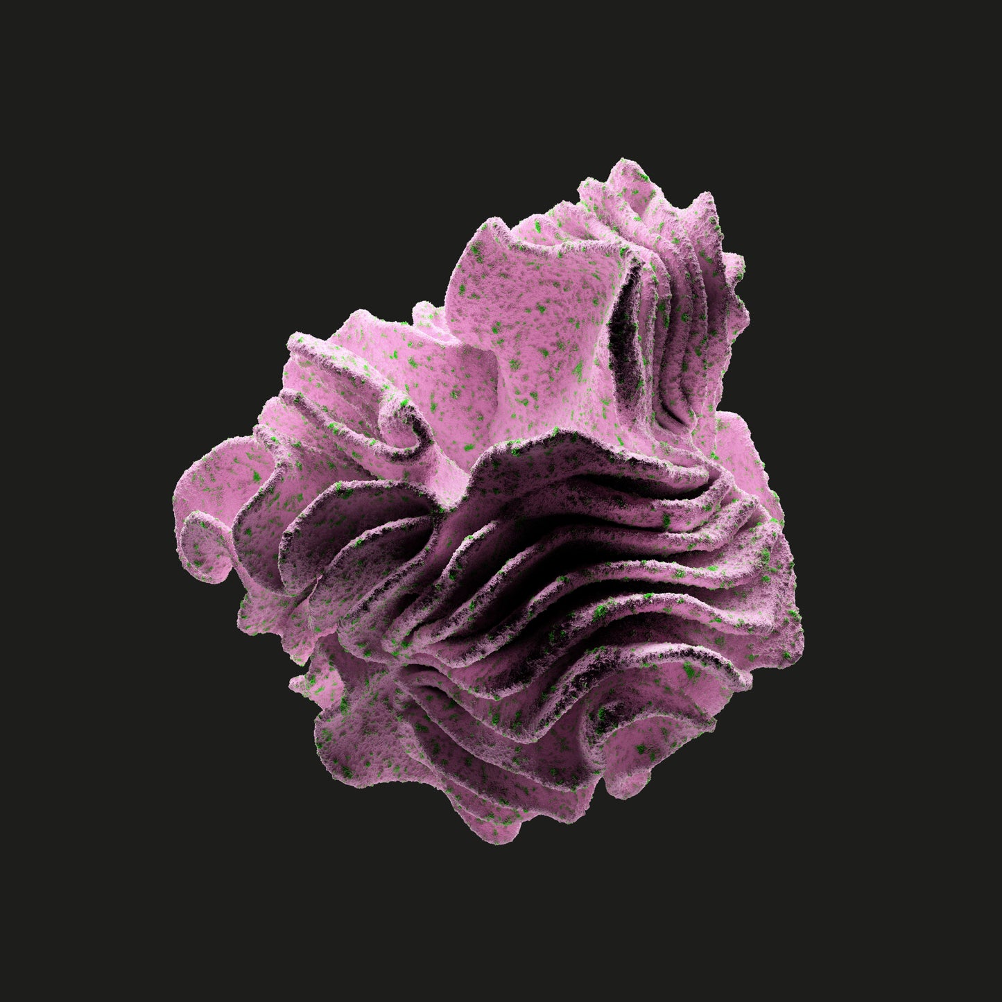 Nandu - Forever In Our Favor EP