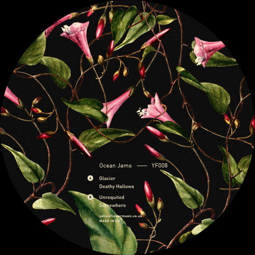 Ocean Jams - Glacier EP