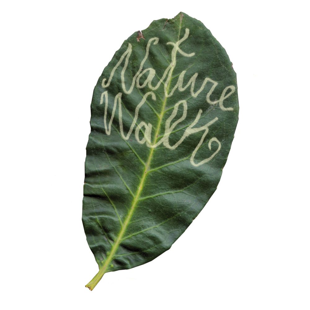 Luke Beats - Nature Walk (Vinyl Postcard)