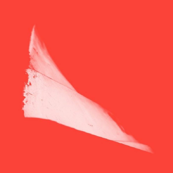 Phill NIBLOCK - G2 44+/X2