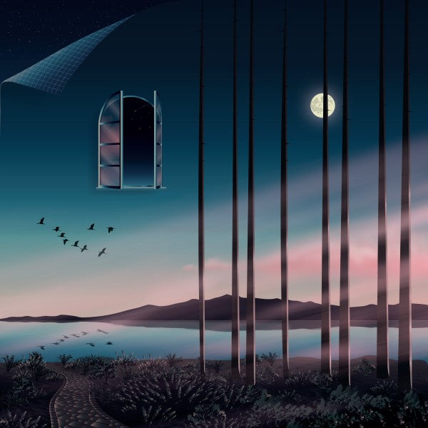 Psychemagik - I Feel How This Night Should Look