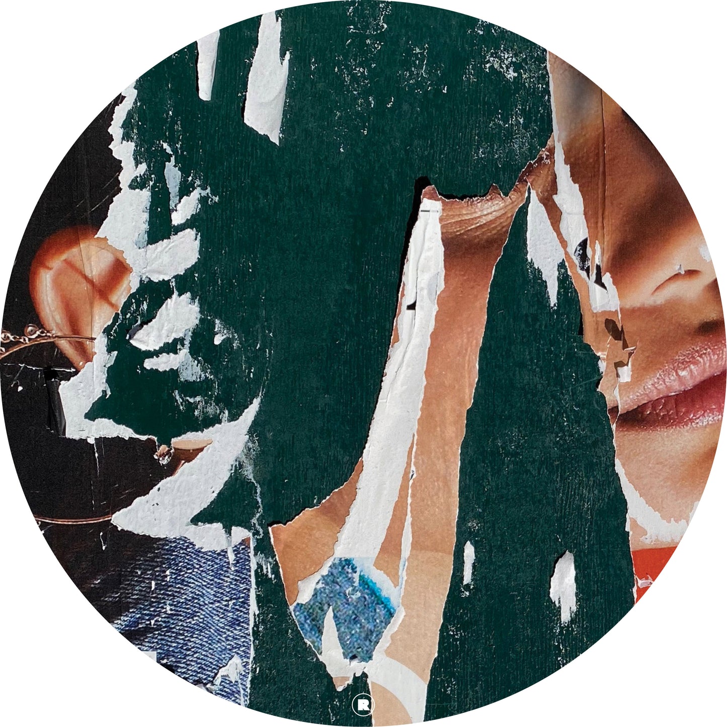 Nic FANCIULLI - Focus