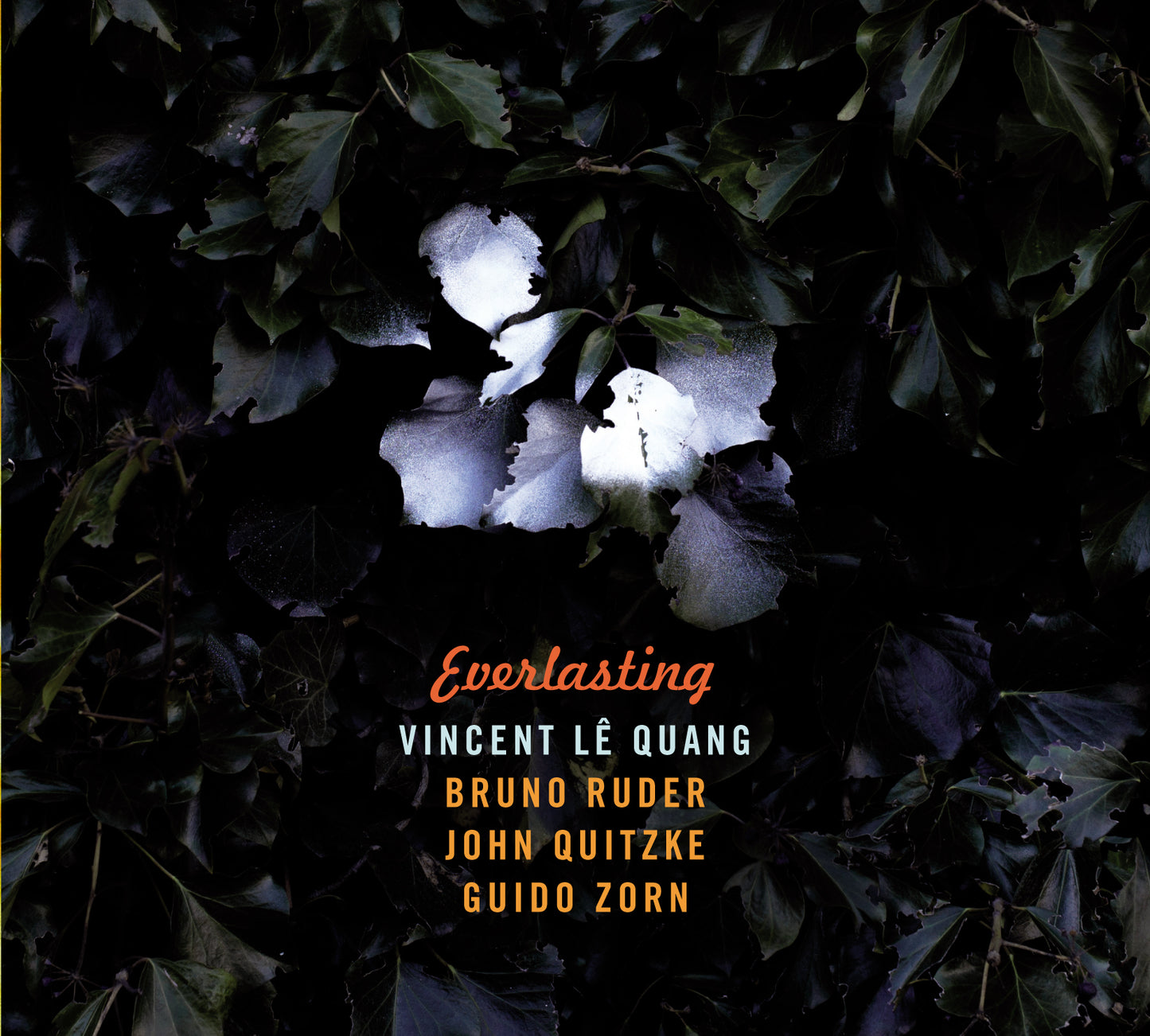 Vincent Le Quang - Everlasting