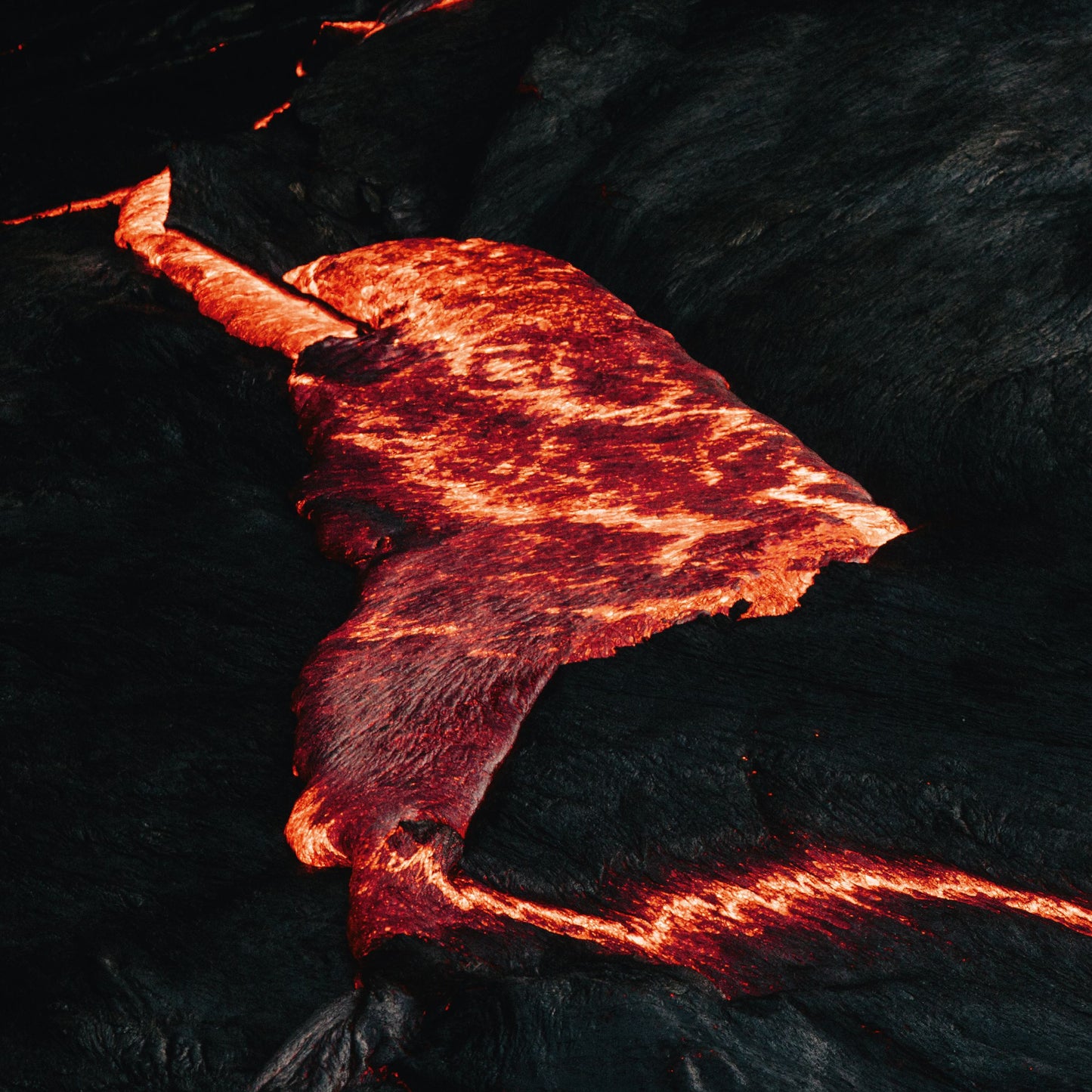 Randstad These Serpents