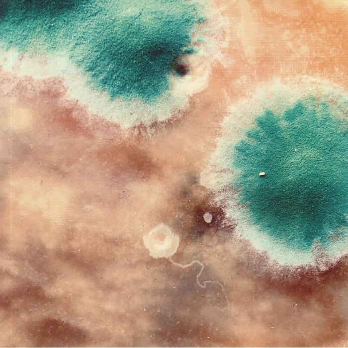 SHACKLETON / ZIMPEL - Primal Forms