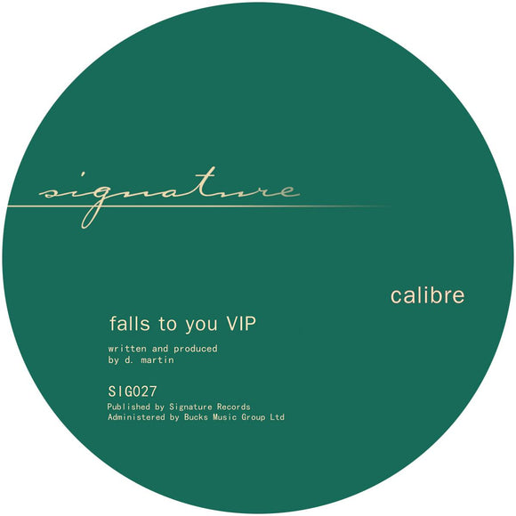 Calibre - Falls To You VIP