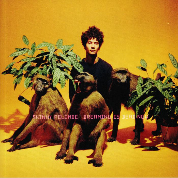 SKINNY PELEMBE - DREAMING IS DEAD NOW