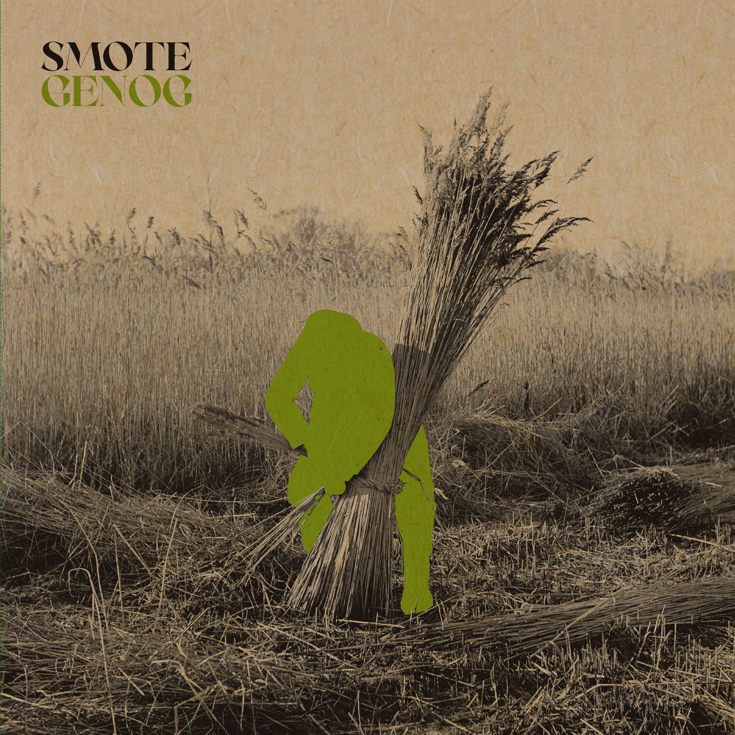 Smote – Genog