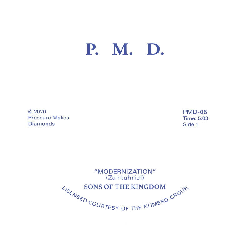 Sons Of The Kingdom - Hey There / Modernization