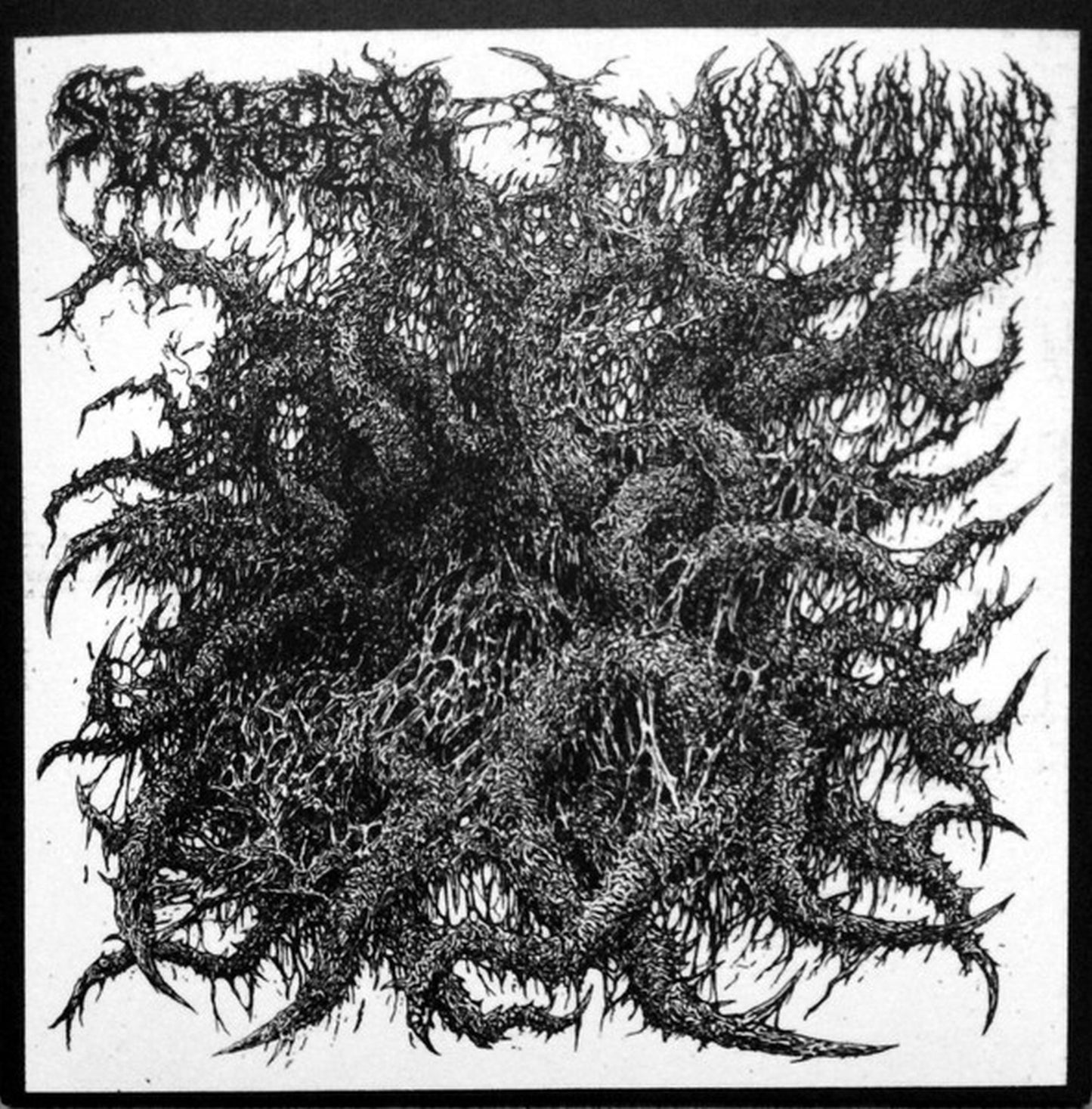 Spectral Voice / Blood Incantation – Split