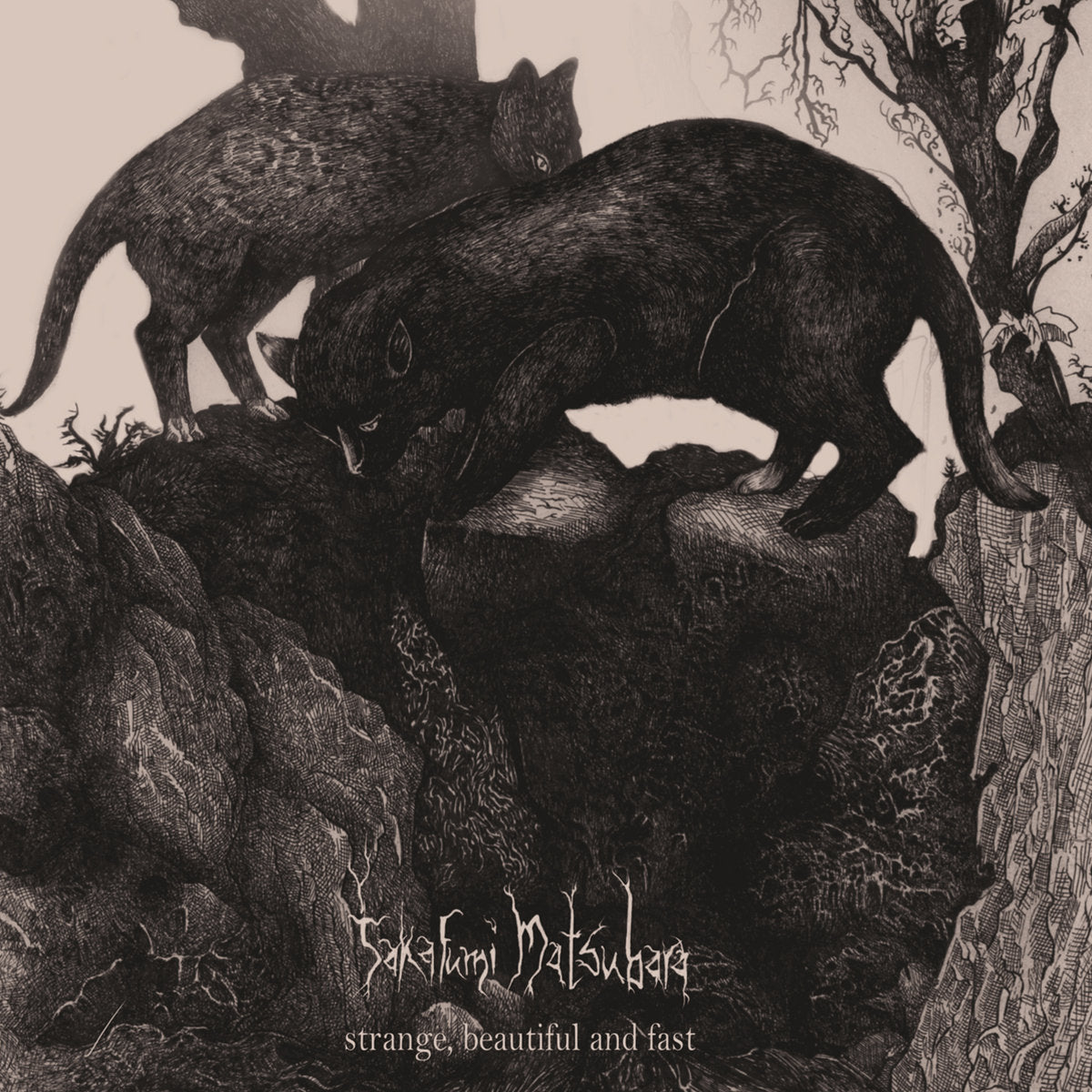 TAKAFUMI MATSUBARA - STRANGE BEAUTIFUL AND FAST