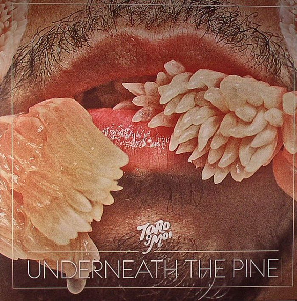 TORO Y MOI - UNDERNEATH THE PINE [CD]