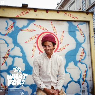 TORO Y MOI - WHAT FOR [LP]