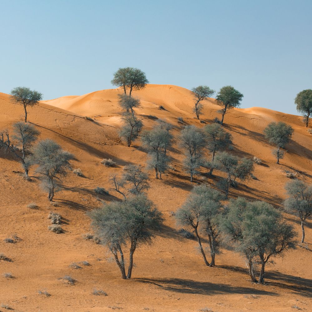 Teleseen - Exposures EP (Ft Black Loops remix)