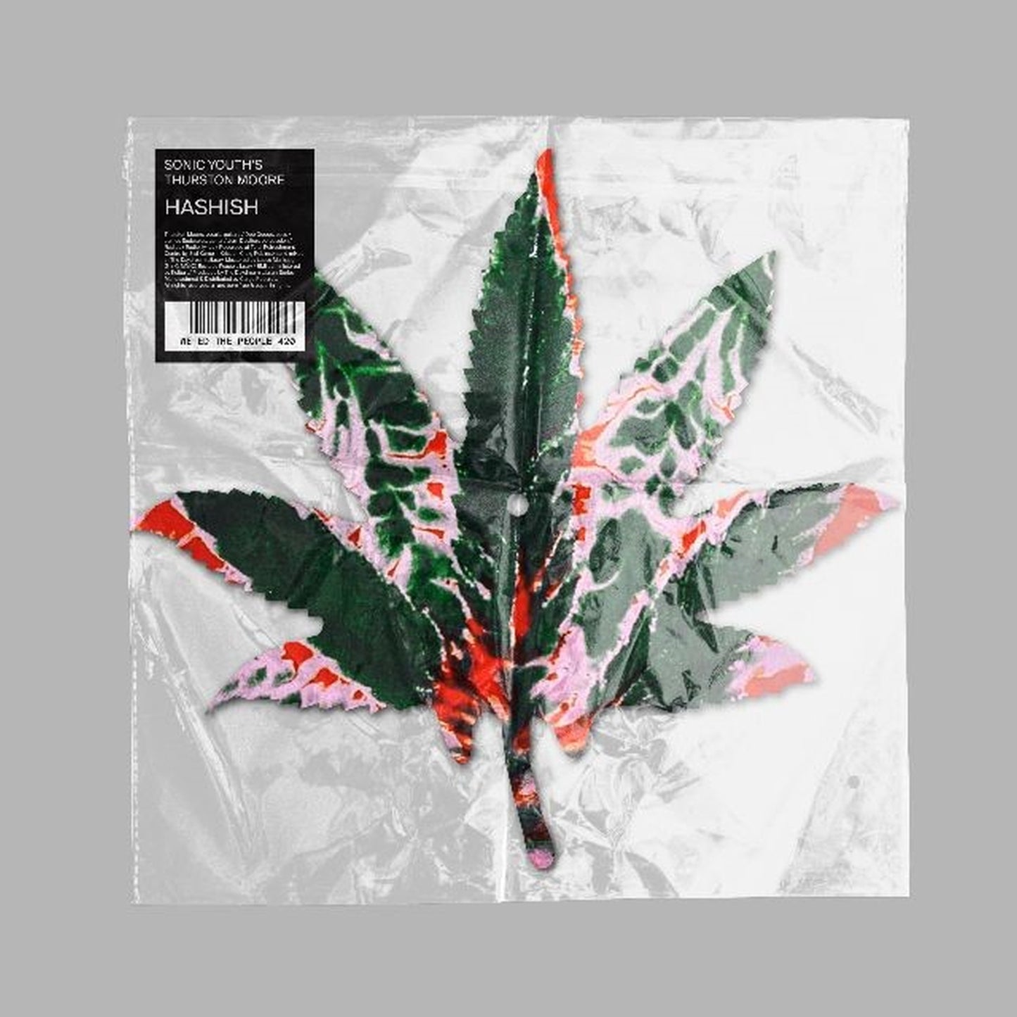 Thurston Moore Hashish