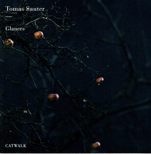 Tomas Sauter - Glances