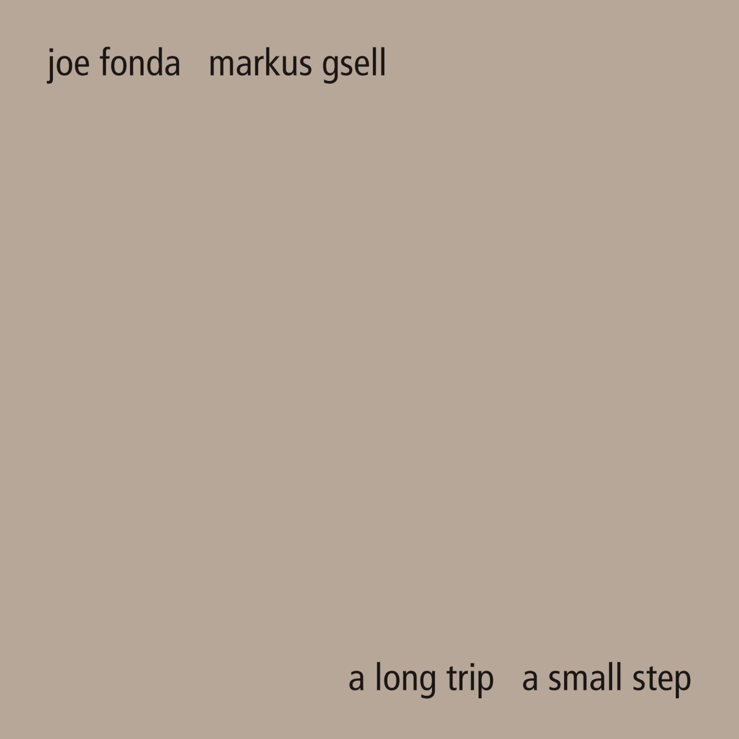 Markus Gsell - A Long Trip A Small Step