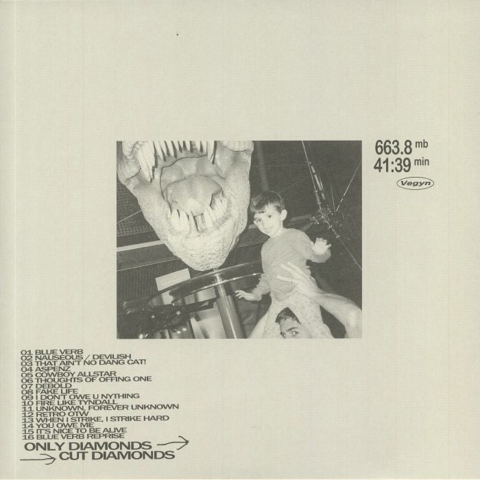 VEGYN - Only Diamonds Cut Diamonds