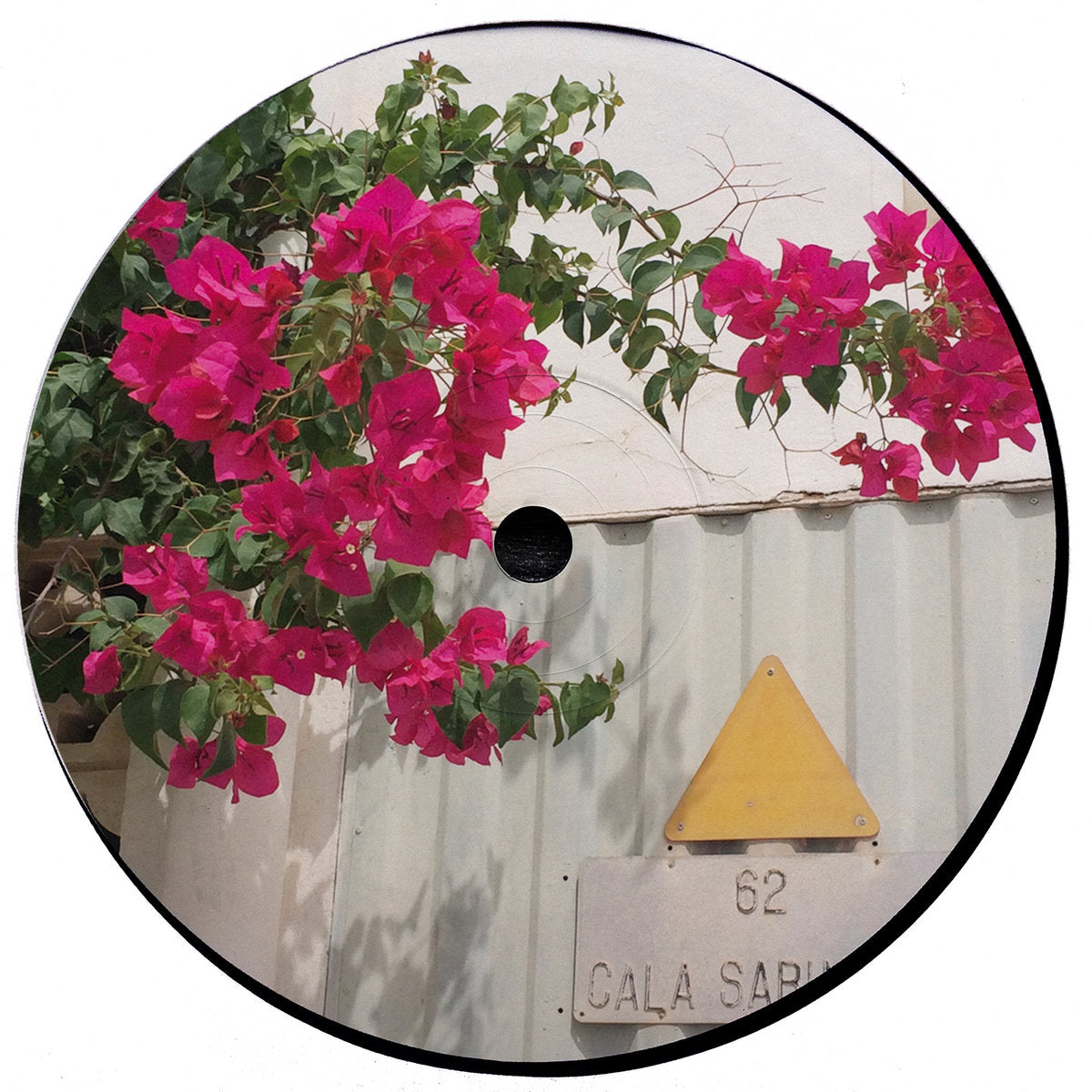 CIGGY DE LA NOCHE - Strictly Come Dancing