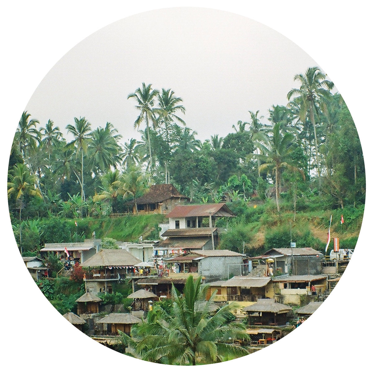 RAW MT - Trip To The Far East