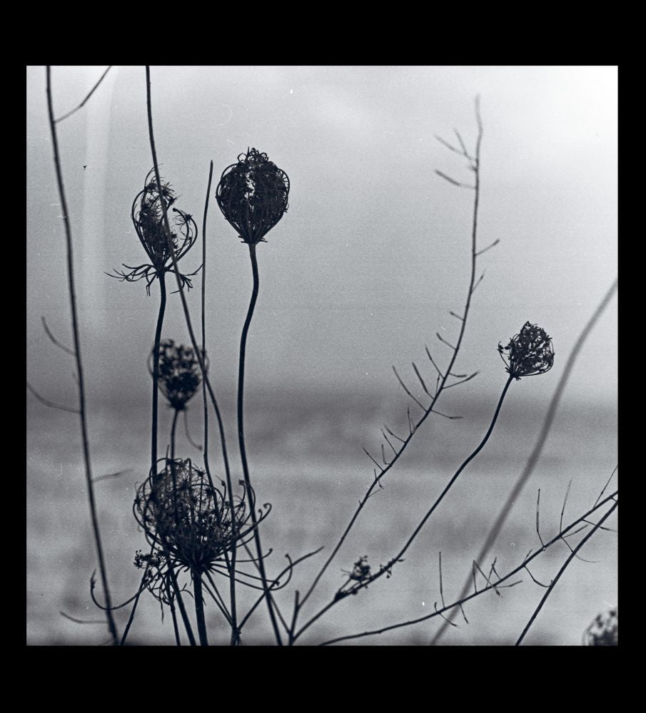 recondite - placid (2lp album + mp3) (2022 Repress Edition)