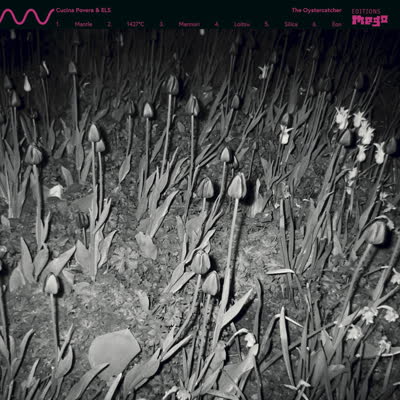 Cucina Povera & ELS - The Oystercatcher