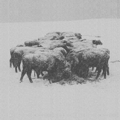bvdub -'Ten Times the World Lied'
