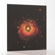 Paradise (Exit vinyl)