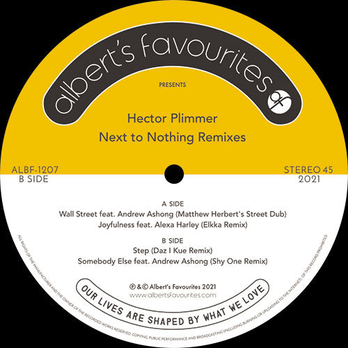 Hector Plimmer - Next To Nothing Remixes