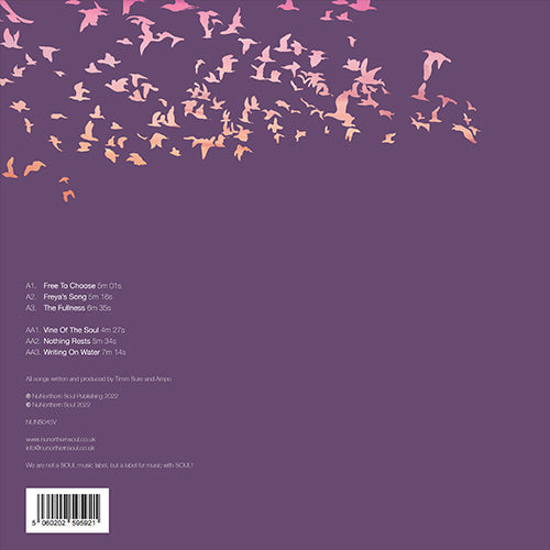 Coyote - Everything Moves, Nothing Rests